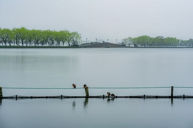 江南煙雨篇——西湖春天