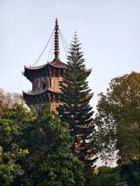 小長假要去廈門-鼓浪嶼-泉州開元寺玩轉攻略來襲