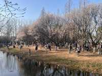 奧森桃花谷的桃花劫～