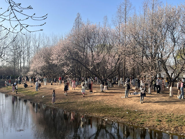 奧森桃花谷的桃花劫～