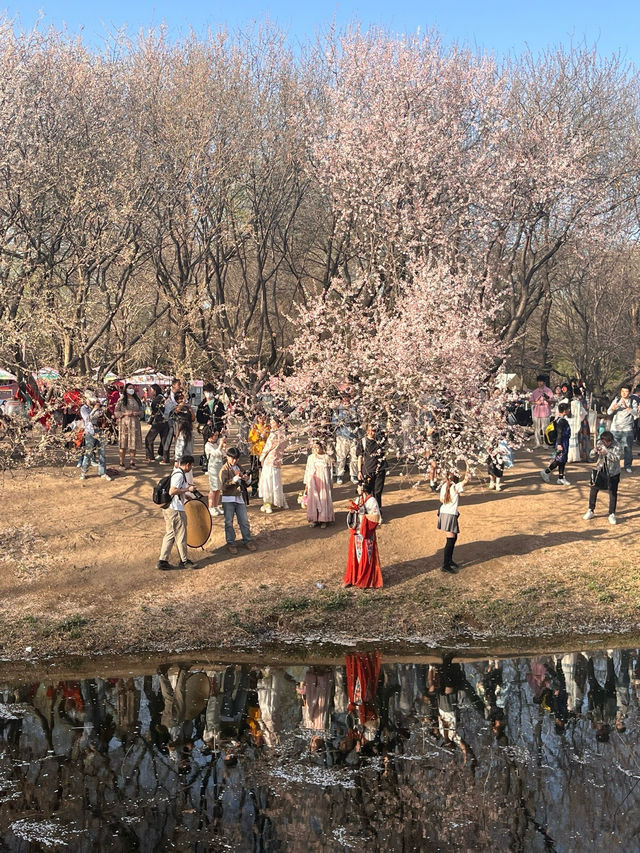 奧森桃花谷的桃花劫～