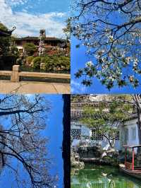 一步一景皆入畫，留園尋夢詩意行