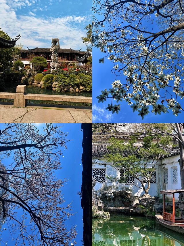 一步一景皆入畫，留園尋夢詩意行