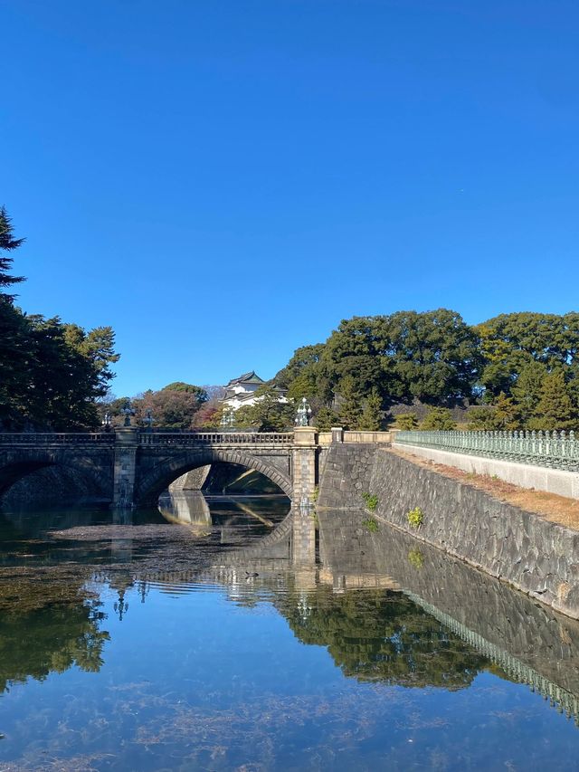 日本7日親子遊 超詳細攻略來啦