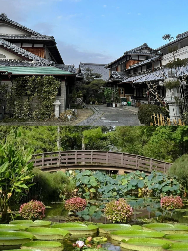 草津市｜日本溫泉小眾玩法之旅