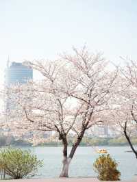 趁著花香微風，踏上「野」的旅程。