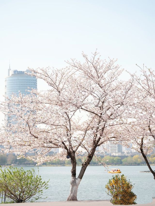 趁著花香微風，踏上「野」的旅程。