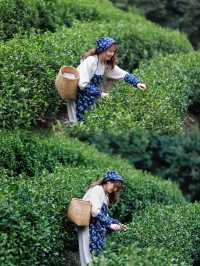 獨享700畝森林秘境！馬爾代夫平替太香了！！
