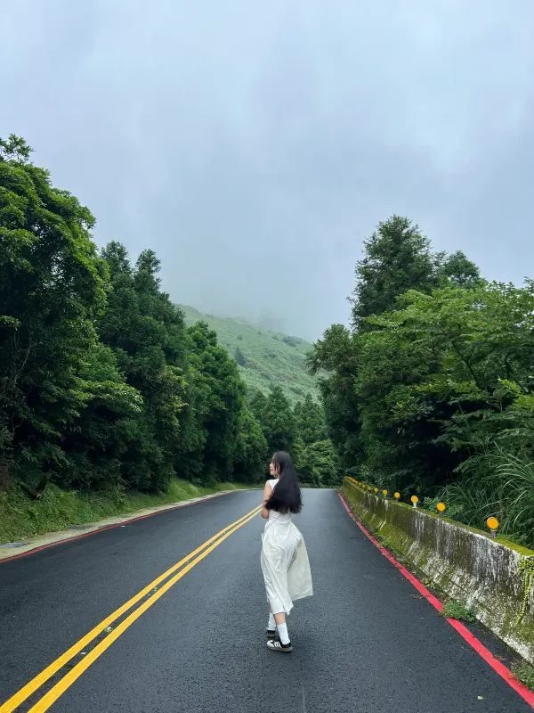 台北陽明山1日遊攻略🌋小油坑/夢幻湖/擎天崗