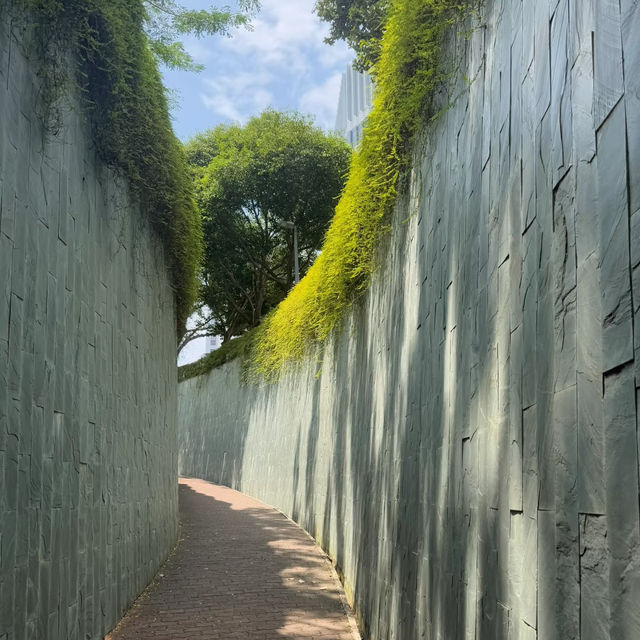 🇸🇬探秘新加坡 | 福康寧公園樹洞，藏在都市裡的綠野仙蹤