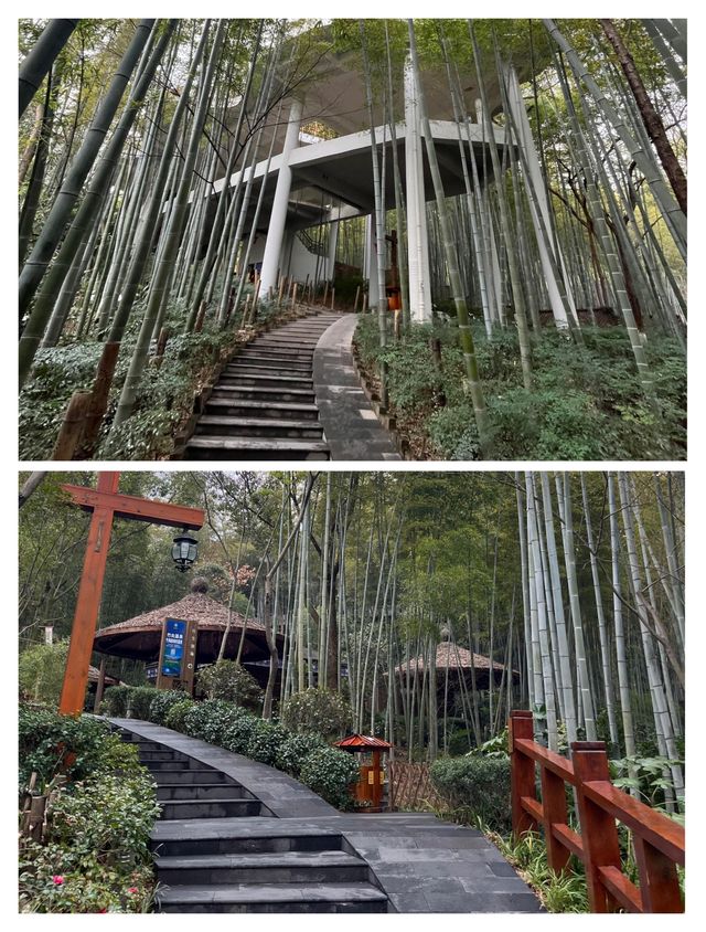 溧陽御水溫泉，隱藏在竹海裡的避世桃源。