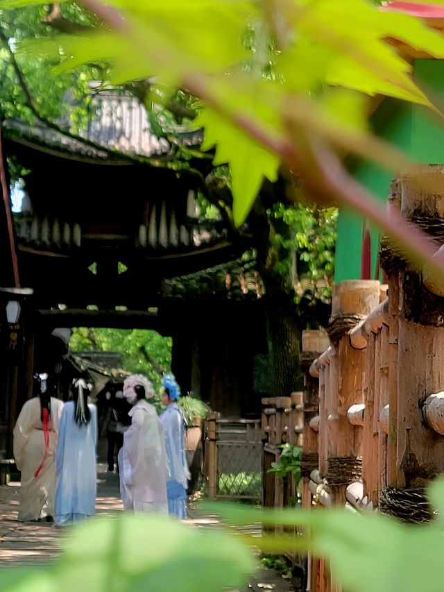 枕水烏鎮，尋一場江南舊夢