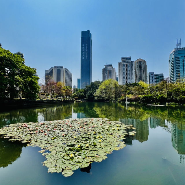 深圳原來有個荔枝公園？