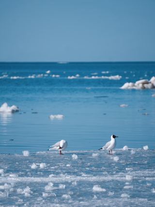 青海湖 | 一分錢不掏的正確打開方式