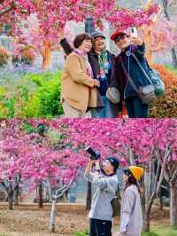 台兒莊古城寶藏之旅：入住湖光月色，吃遍古城美食  五一假期將至，想要一場既能放鬆身心，又充滿趣味的旅
