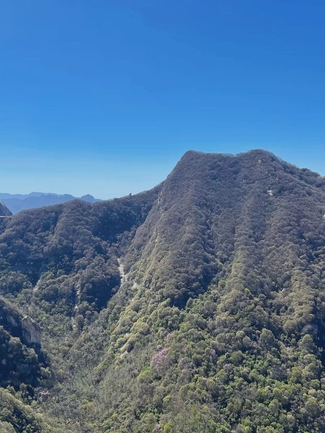 華山你把我拿捏住了