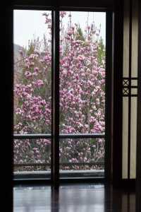 以玉蘭之名，展開一場泉暖花香的療癒之旅——