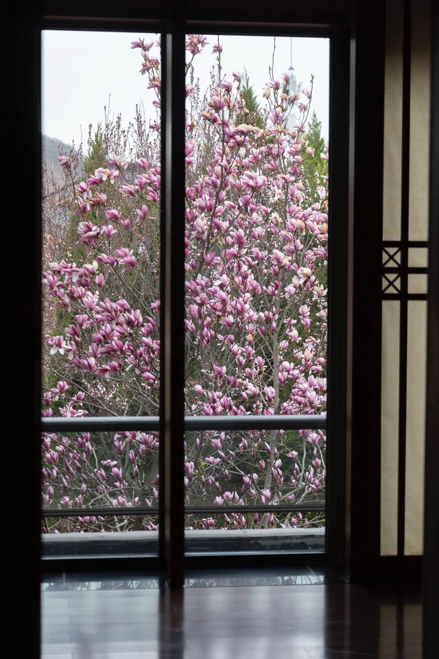 以玉蘭之名，展開一場泉暖花香的療癒之旅——