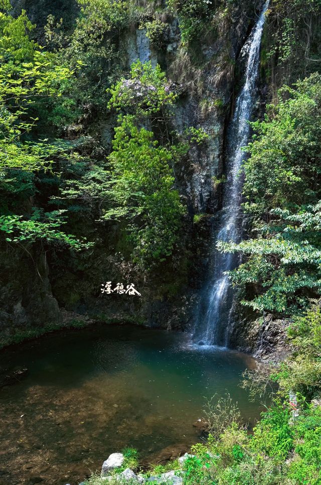 邂逅浮憩谷綠野仙蹤的安吉之旅