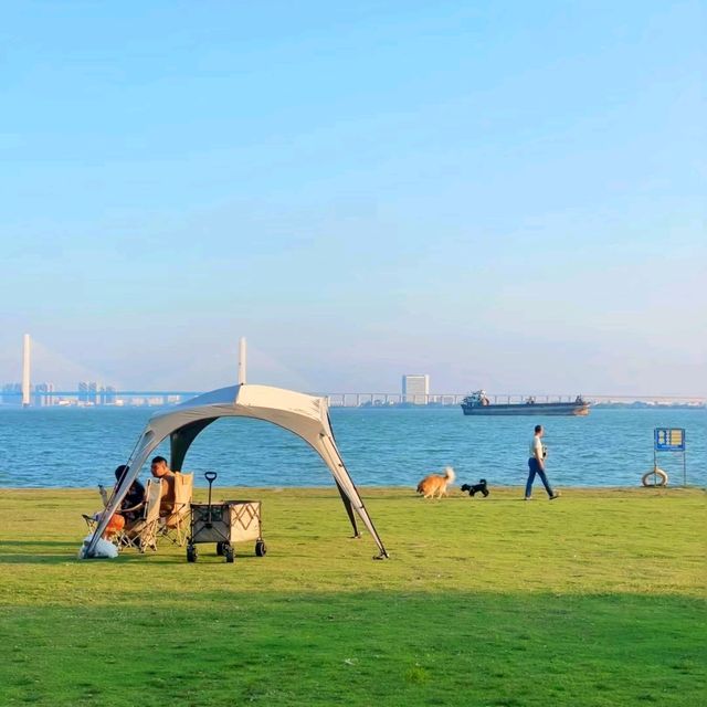 廣州蒲洲花園綠房子與明珠灣大橋｜地鐵直達的絕美海邊打卡秘境