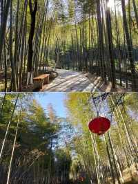 竹海隱逸記：在安雲悅南山的三日慢時光