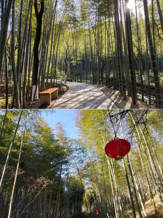 竹海隱逸記：在安雲悅南山的三日慢時光