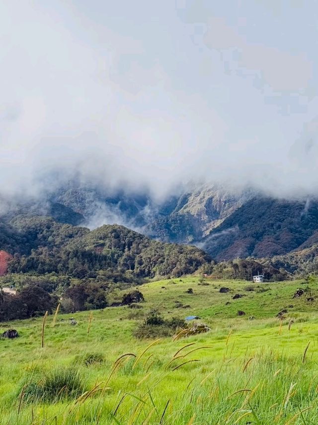 Kota Kinabalu - Mount Kinabalu is Heaven💯🌸✨