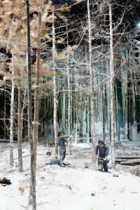淡季玩漠河遇見春雪5天唔行尋常路玩法