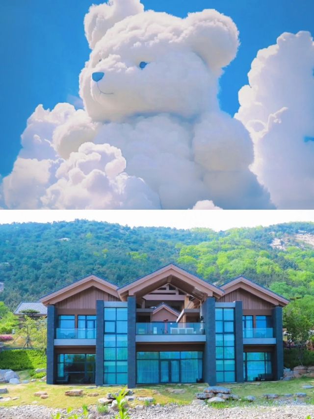 在日照住到了人生酒店|在茶山裡的綠色秘境