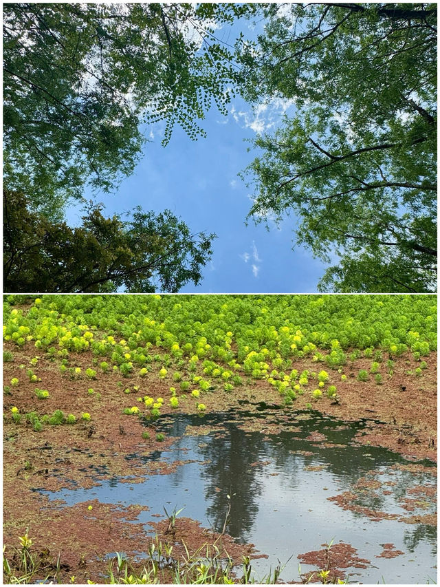 六盤水已回，真唔建議5月去