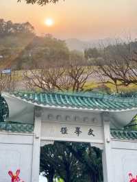 南海觀音的算法：現代香客與AI解簽的賽博朝聖