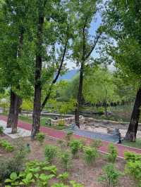 京郊吸氧好去處0難度唔使錢行山玩水棧道