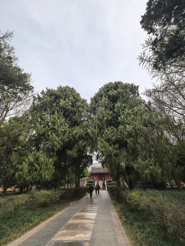 參觀明孝陵嘅感受