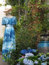 Day Trip Itinerary for Shenzhen