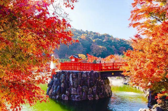日本關西秘境──大阪勝尾寺