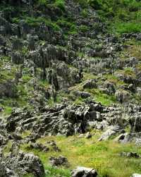 喺貴州嘅大山入面 我好似搵到咗異世界嘅入口…