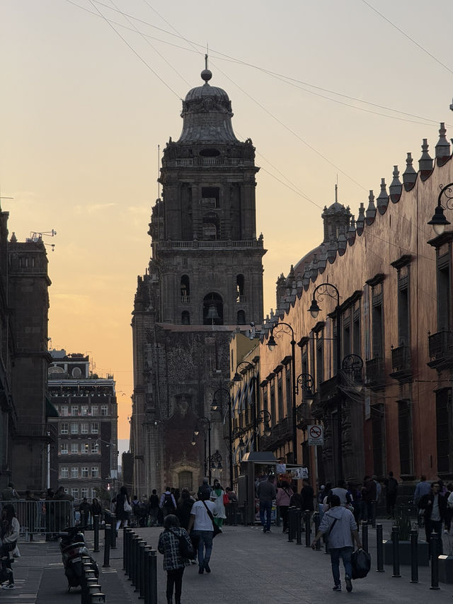Tacos, Castles, and Culture: My Mexico City Highlights 🌮 🇲🇽 