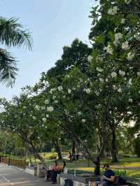 曼谷班嘉琦緹皇后公園交通攻略｜鬧市中的綠意秘境指南