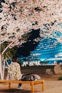 本來以為東京港已經夠靚，直到我嚟到神戶港！