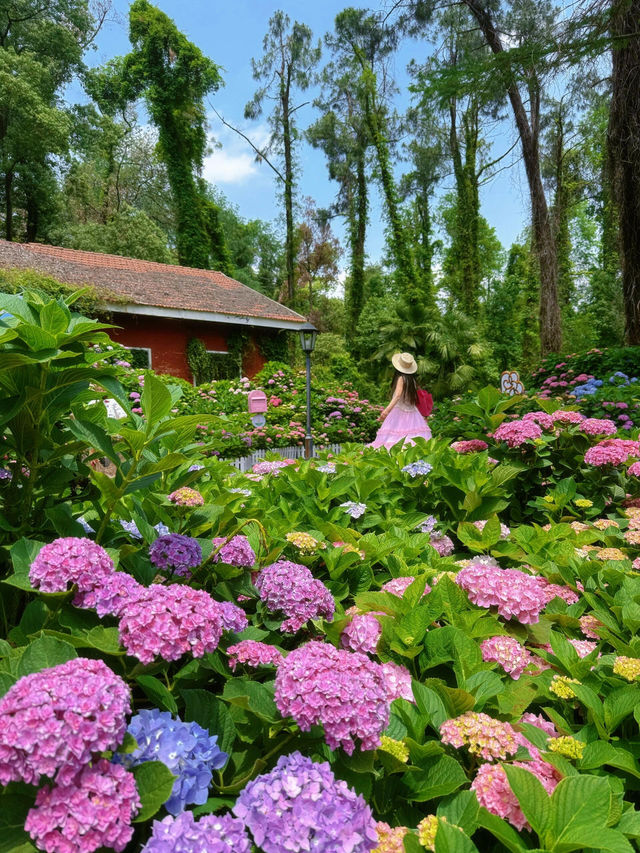 救命！！在武漢誤闖愛麗絲仙境花園💐實況live美到窒息😭