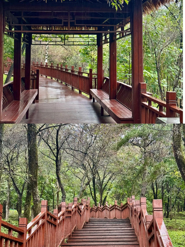 白山市旅遊攻略：長白山腳下的秘境天堂 