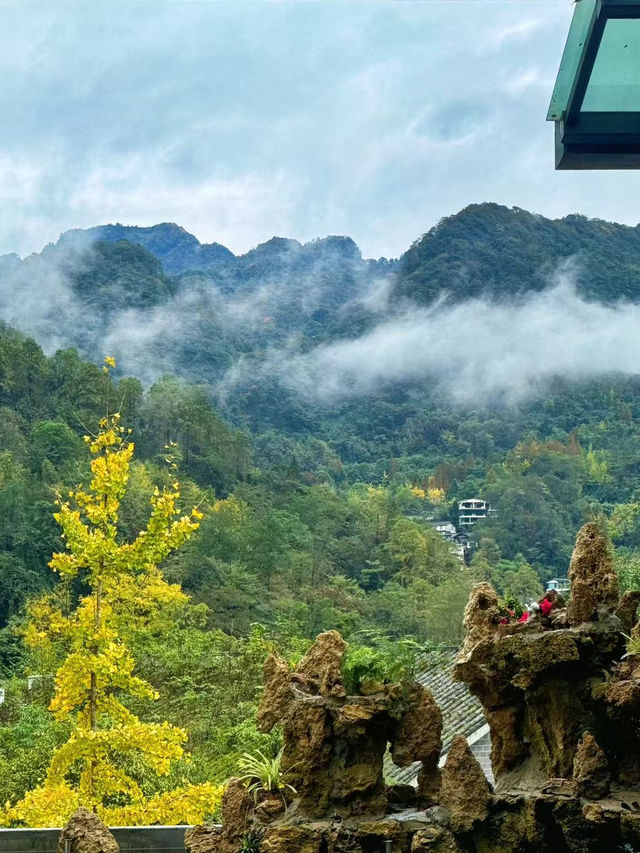 帶小朋友嚟呢度！青城山嘅親子度假寶藏地