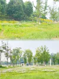 夏日消暑指南：黃昏去濕地公園追一場橘子味日落啦！