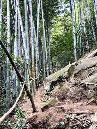 德清｜莫干山徒步，自然野趣與人文浪漫瘋狂碰撞