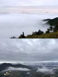 住進雲端！夏日避暑天花板