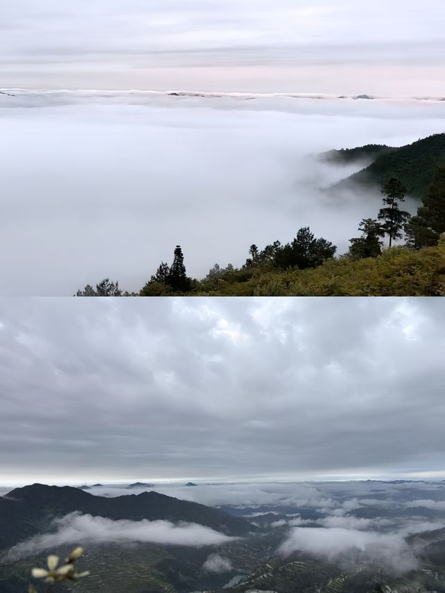 住進雲端！夏日避暑天花板