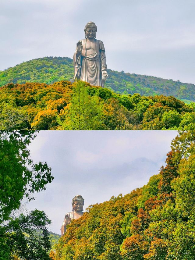 靈山大佛旅遊攻略