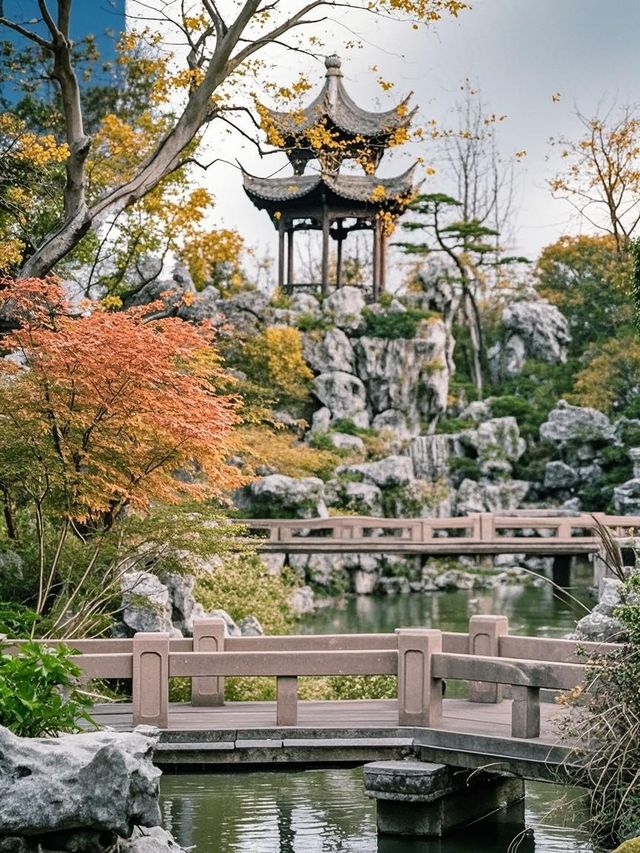 搖櫓船送娃登基？！這座江南孤島酒店，爸媽飲茶睇娃玩
