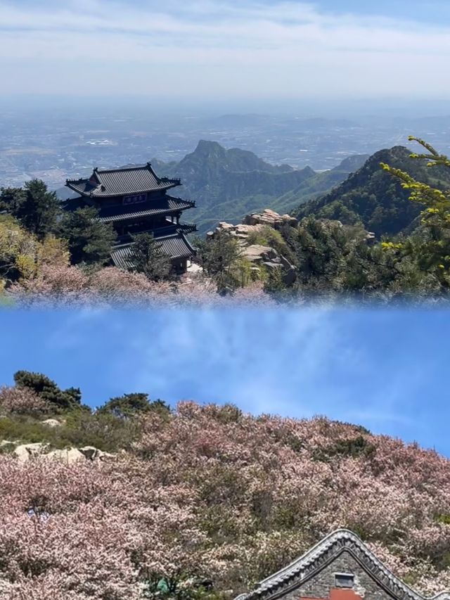 淡季去咗趟泰山，3條登頂路線，講下我嘅建議……