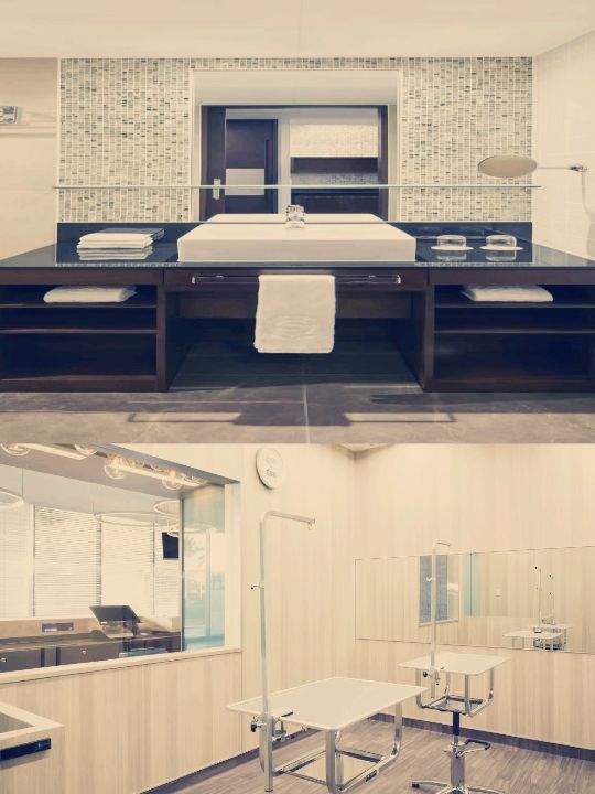 東京灣喜來登大酒店：畅享無邊泳池之美